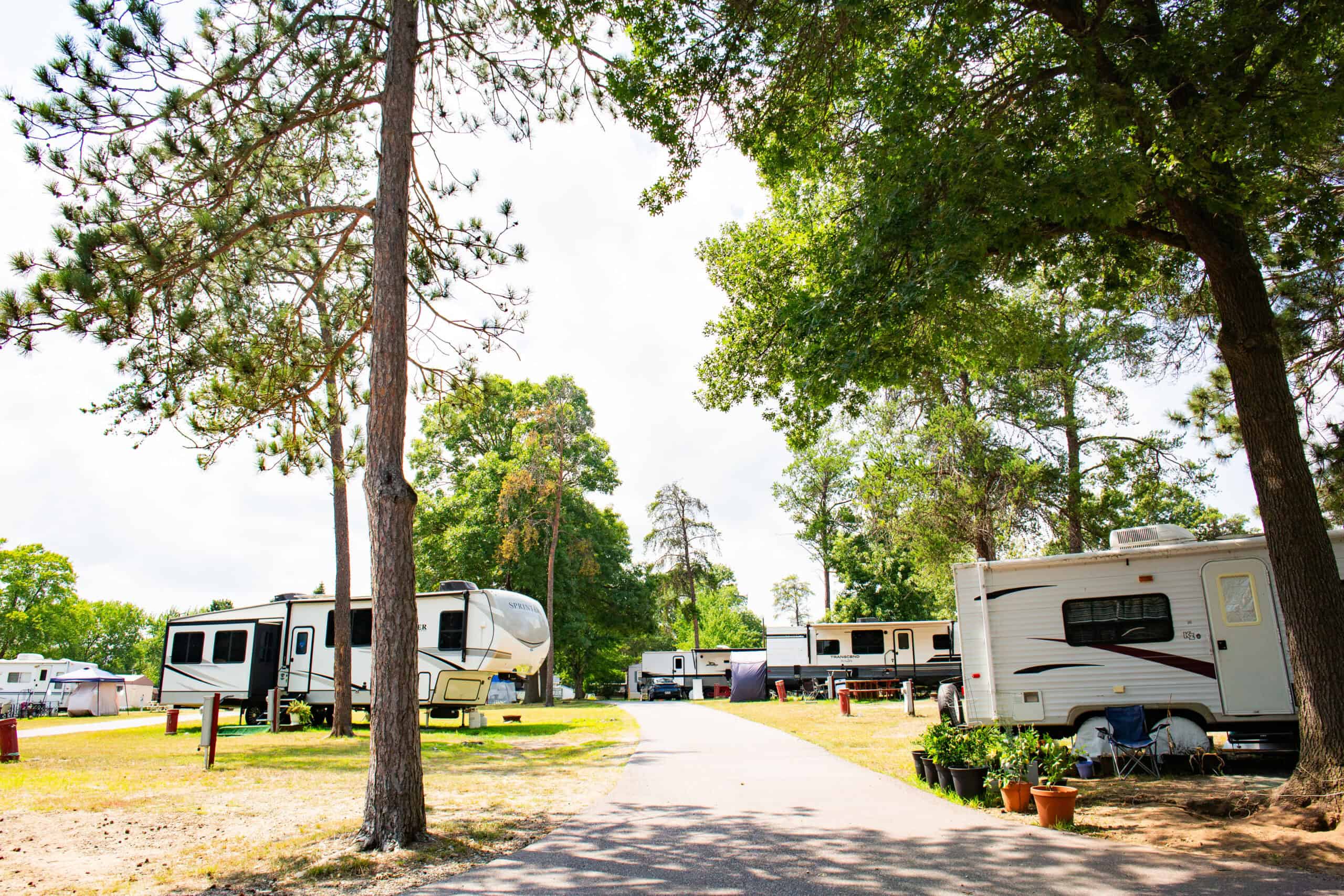 Several RVs are parked along a paved road at a campground surrounded by trees and greenery on a sunny day.