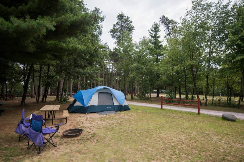A blue and gray camping tent is set up near a picnic table, campfire ring, and folding chair in a grassy, wooded campsite. Trees surround the area and a road runs nearby.