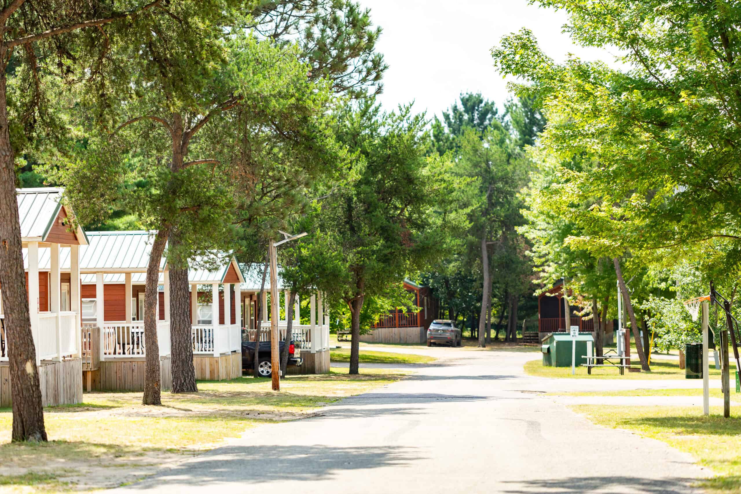 A quiet campground road lined with cabins and tall trees on a sunny day, with a car parked in the distance.