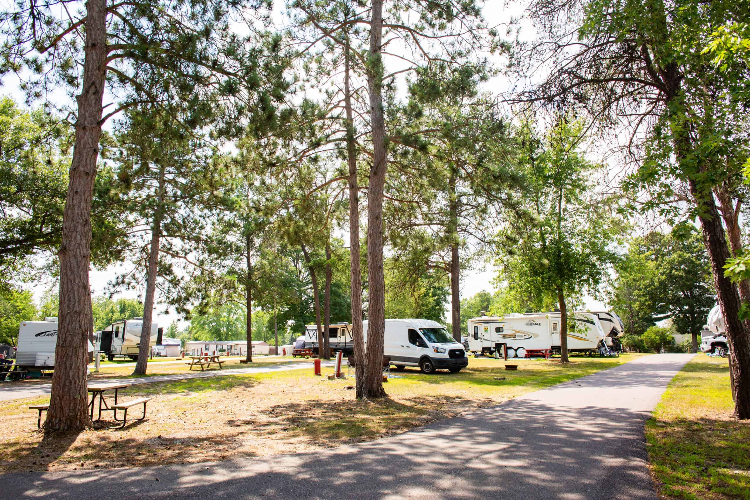 RVs and camper vans are parked among tall trees at a campground on a sunny day, with picnic tables and a paved path visible.